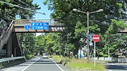 東海道松並木 神奈川県中郡大磯町