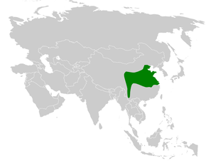 Description de l'image Aegithalos glaucogularis distribution map.png.