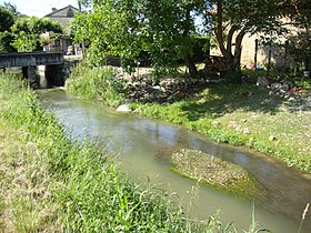 Le canal d'Alaric à Auriébat.