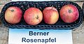 Berner Rosenapfel