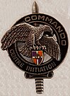 Brevet d'Initiation Commando - 24e RI (Fort de Cormeilles-en-Parisis)