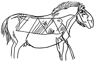 Gravure de cheval