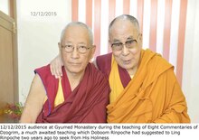 12/12/2015 audience at Gyumed Monastery during the teaching of Eight Commentaries of Dzogrim, a much awaited teaching which Doboom Rinpoche had suggested to Ling Rinpoche two vears ago to seek from His Holiness