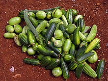 Carosello e Barattiere, varietà autoctone italiane di Cucumis melo i cui frutti vengono consumati acerbi.