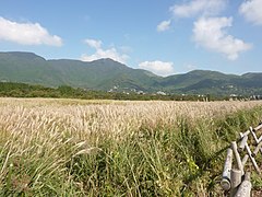 秋の箱根仙石原湿原植物群落(国の天然記念物)