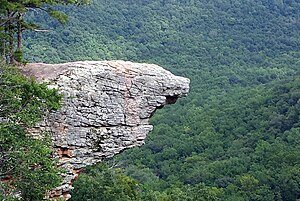 Weathered eroded bluff resembling a bird's beak juts out from a bluffline on a background of green trees