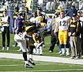 Hines Ward makes a catch for the Steelers, 2006.