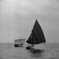 The culmination of the famous maritime festival Brest'92 is the transition of all boats to the port of Douarnenez. Parade of participants.