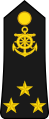 Vice-amiral (Navy of Ivory Coast)[31]