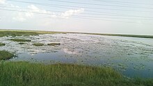 Lake Bisinia along Soroti Mbale Highway,