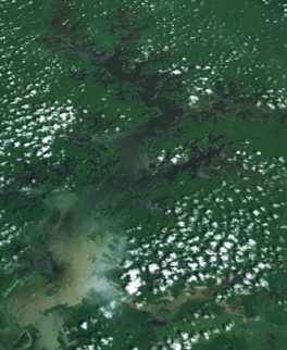 Landsat image of Lake Murray