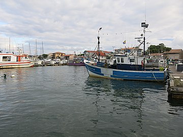 Port de pêche