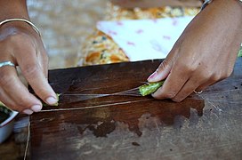 Étirement des fibres d'un pédoncule de lotus.