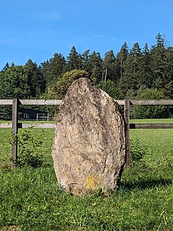 Image illustrative de l’article Menhir de Rifferswil