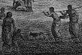 A scrawny looking Polynesian dog in Tonga. From John Webber's 'The reception of Captain Cook in Hapaee', c. 1784