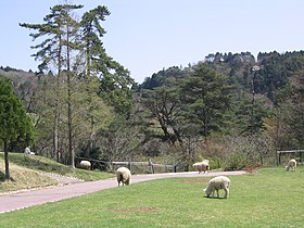 神戸市立六甲山牧場