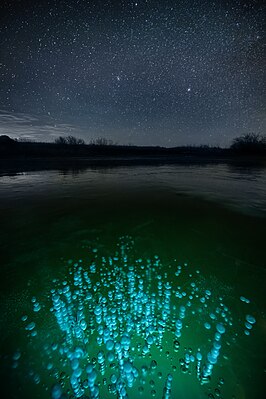 Вид в ночное время