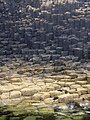 Colonnes basaltiques de Staffa.