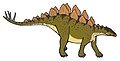 Stegosaurus