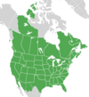 Symphyotrichum lanceolatum distribution map Canada — Alberta, British Columbia, Manitoba, New Brunswick, Newfoundland, Northwest Territories, Nova Scotia, Ontario, Prince Edward Island, Québec, and Saskatchewan; Mexico — Baja California, Chihuahua, and Sonora; US — Alabama, Arizona, Arkansas, California, Colorado, Connecticut, District of Columbia, Florida, Georgia, Idaho, Illinois, Indiana, Iowa, Kansas, Kentucky, Louisiana, Maine, Maryland, Massachusetts, Michigan, Minnesota, Mississippi, Missouri, Montana, Nebraska, Nevada, New Hampshire, New Jersey, New Mexico, New York, North Carolina, North Dakota, Ohio, Oklahoma, Oregon, Pennsylvania, Rhode Island, South Carolina, South Dakota, Tennessee, Texas, Utah, Vermont, Virginia, Washington, West Virginia, Wisconsin, and Wyoming.