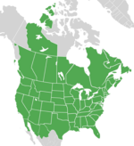 Map of North America with green shading. Data source Brouillet et.al., Flora of North America.[2][3]