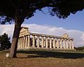 Paestum - Temple of Athena