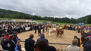 National Exposition of the Simmental Cattle and the Regional Championship of Hucul Horse.