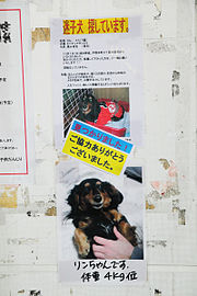 迷子犬 探しています。→見つかりました！