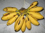 旦蕉（英语：Lady Finger banana） Lady Finger banana