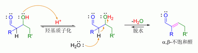 酸-催化下羟醛脱水机理