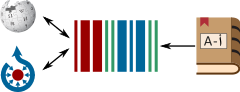 Arabic Dictionaries initiative