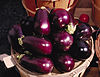 Aubergines