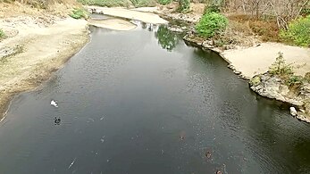 Berges de rivière et héron.