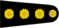 Insignia de coronel del Ejército Argentino.