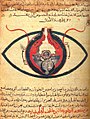 Image 7The eye according to Hunayn ibn Ishaq, c. 1200 (from Science in the medieval Islamic world)