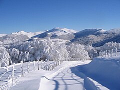 Panorama des monts du Cantal.