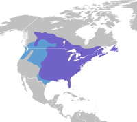 Mapa de distribución aproximado      Todo o ano      Non reprodutores