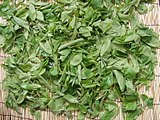 Drying persimmon leaves for gamnip-cha