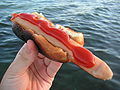 Hotdog s kečapom