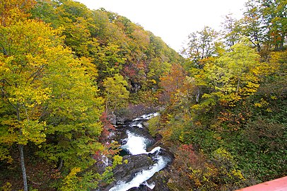 Parc naturel préfectoral de Kariba-Motta dans le district de Shimamaki en octobre 2009.