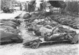 Bodies of 42 American POWs killed by the North Korean Army during the Korean War (1950)[16]