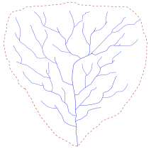 Schéma d'une structure arborescence