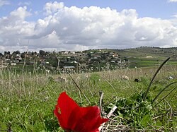 Kfar Uria, 2006