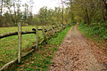 Un sentier du parc