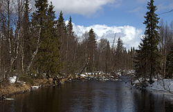 Lainiojoki keväällä 2014.