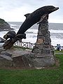 Leaping dolphin in wood at Aberporth, Ceredigion