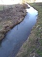 Loutre Noire à Bezange-la-Grande.