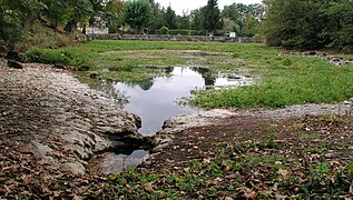 La font de Lussac, une des sources de la Touvre.