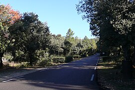 Début des vraies difficultés peu après le virage du Saint-Estève.