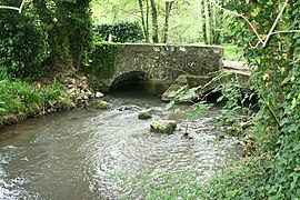 L'Orvanne à Pilliers, sur Villecerf.